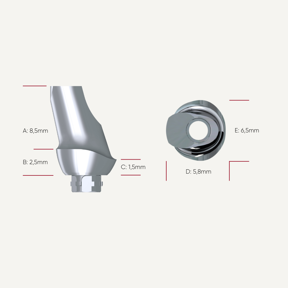 Präparierbare Titan Abutments