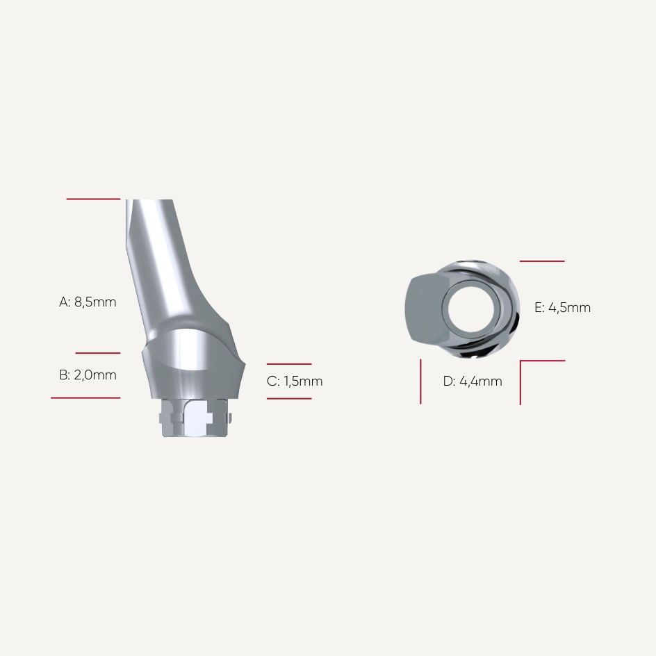 Präparierbare Titan Abutments