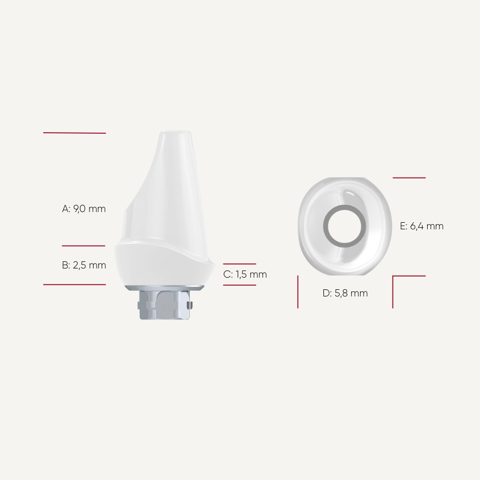 Zirkon Abutments