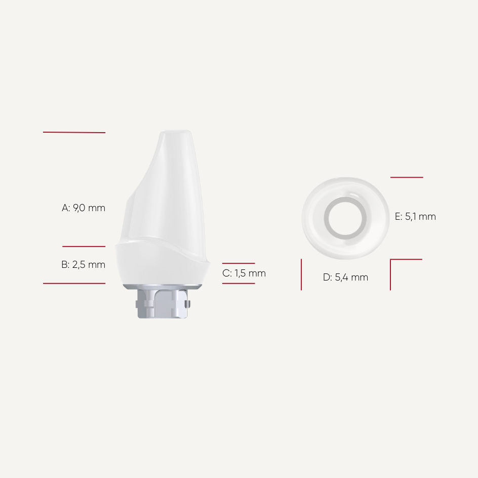 Zirkon Abutments