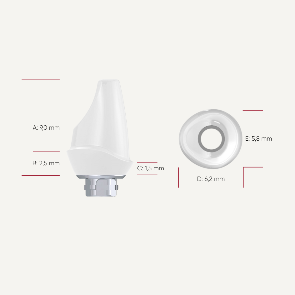Zirkon Abutments