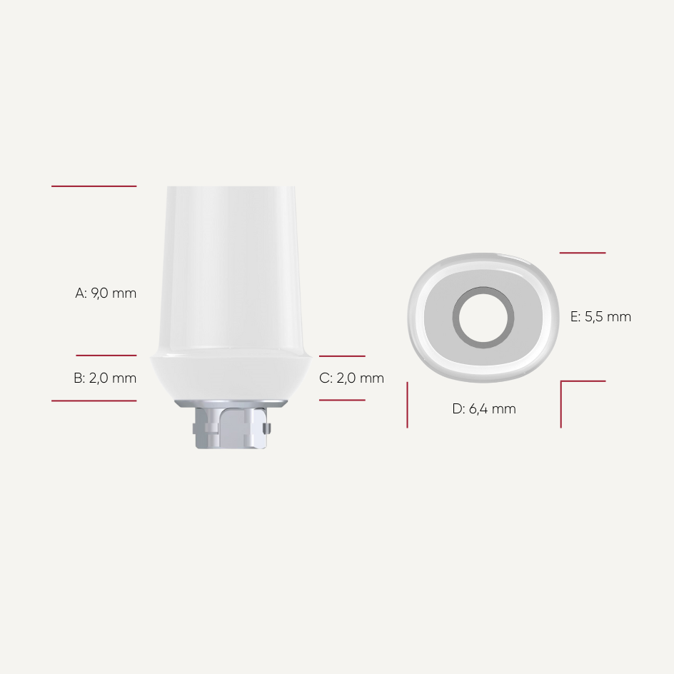 Zirkon Abutments