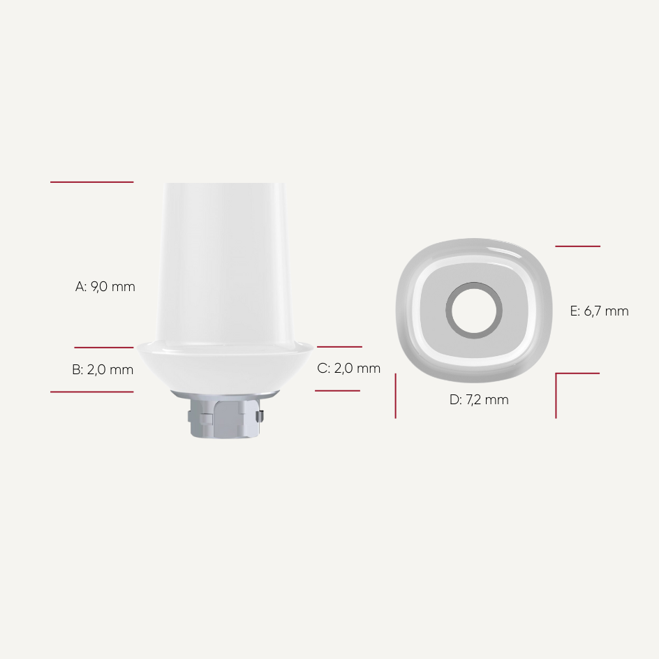 Zirkon Abutments
